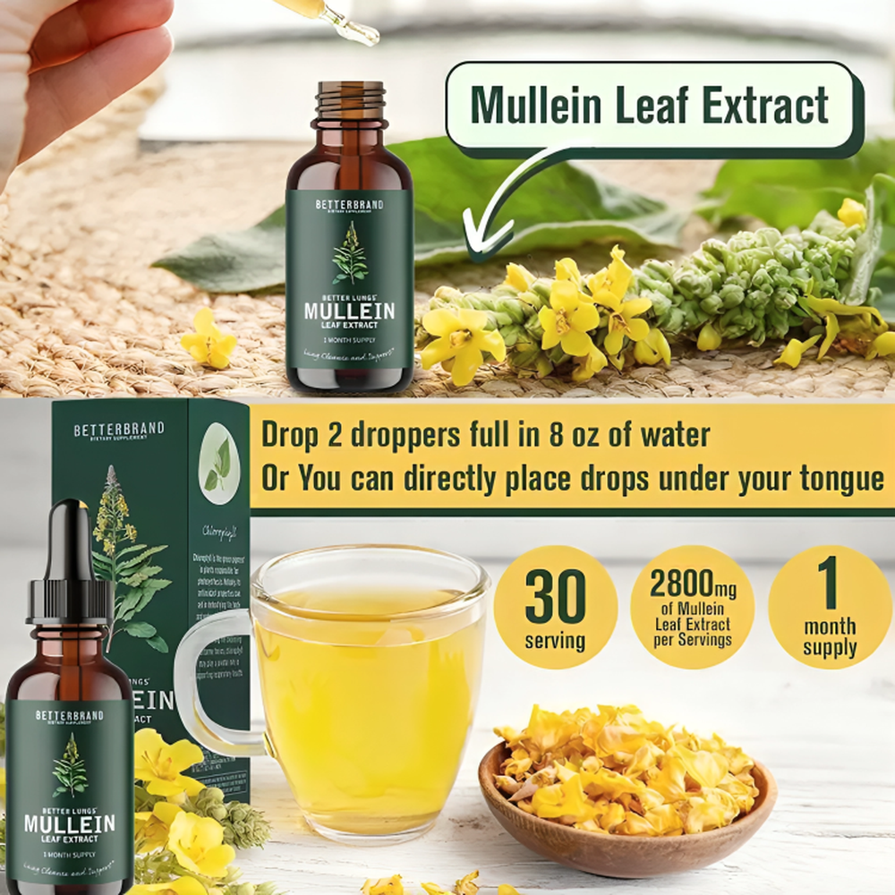 Mullein Leaf Extract Drops